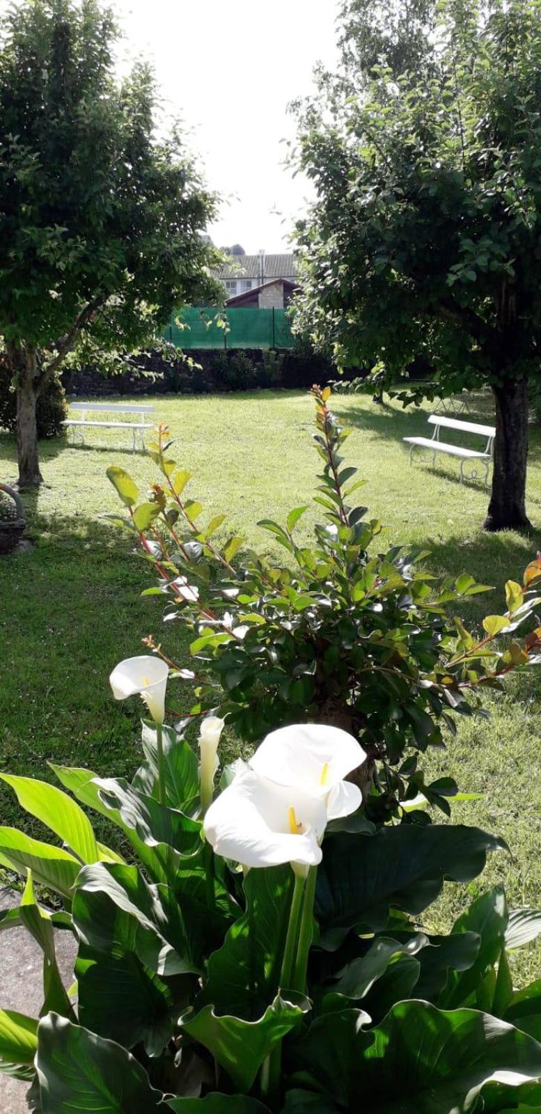 彼得根贝利亚住宿加早餐旅馆 Ispoure 外观 照片